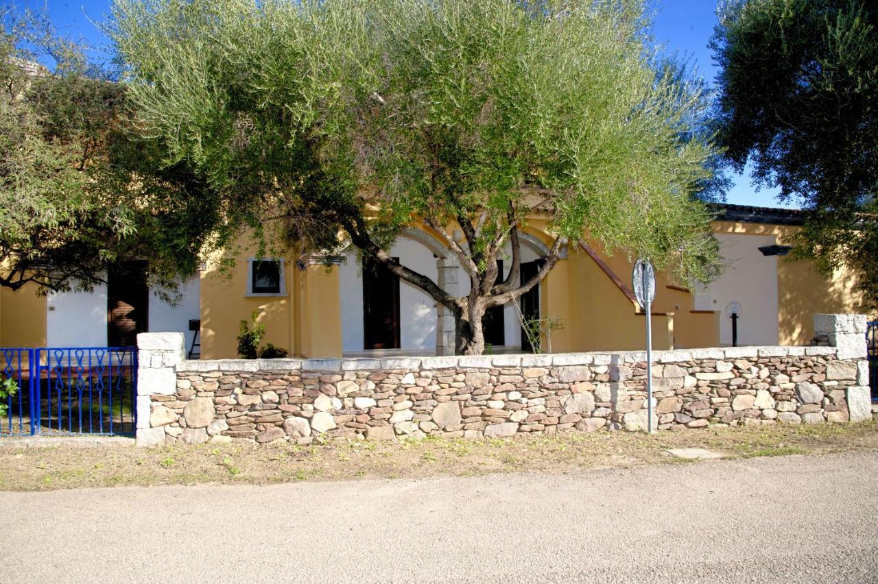 Residence Oasi E Oasi Blu Сан Теодоро Екстериор снимка